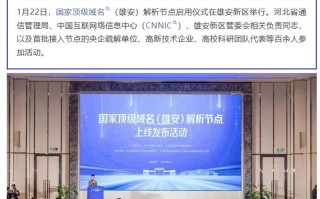 国家顶级域名（雄安）解析节点正式上线