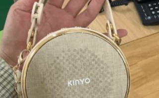 2026好用的扩音器排行榜：性价比与音质的双重博弈与深度选购指南