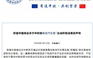欧盟中国商会：对中欧双方推动电动汽车案实现“软着陆”高度欢迎