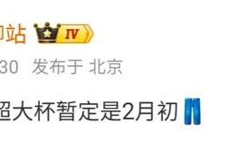 消息称某厂性能超大杯暂定2月初发布，预计为iQOO 15 Ultra