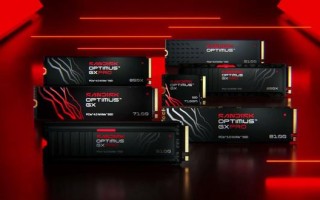 挥别黑盘、蓝盘，闪迪启用全新SANDISK Optimus零售SSD命名