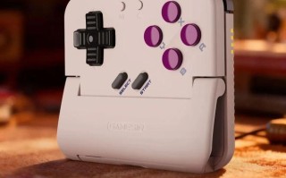 盖世小鸡首款竖向夹持无线手柄“小鸡塔可”1月19日上市