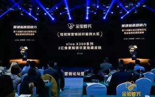 2亿像素解锁华夏隐藏皮肤 vivo荣获金蜜蜂营销标杆案例大奖