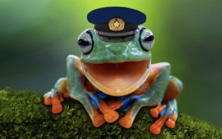 美犹他州AI警情记录系统闹笑话，生成“警察变成青蛙”报告