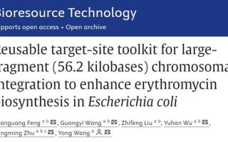 全球首个：我国科学家成功构建“无质粒”红霉素合成细胞工厂