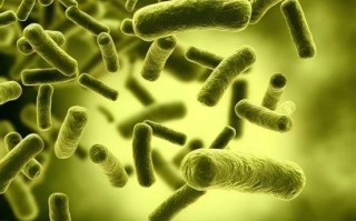 2026办公桌面净化器TOP5深度测评 解决鼻炎二手烟困扰的净化标杆