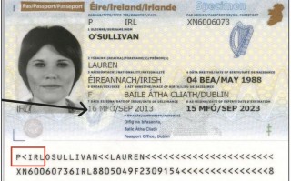 软件更新致护照机读码出错，爱尔兰紧急召回近1.3万本护照