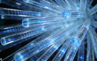 因光纤电缆被老鼠咬坏，伦敦破产宽带商的收购救援计划泡汤