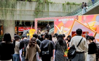 从“家居黑洞”到“墙上的艺术”：创维电视如何掀起美学革命