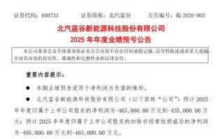北汽蓝谷预计2025年归母净亏损43.5亿元到46.5亿元
